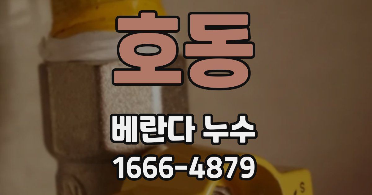 호동 베란다 누수