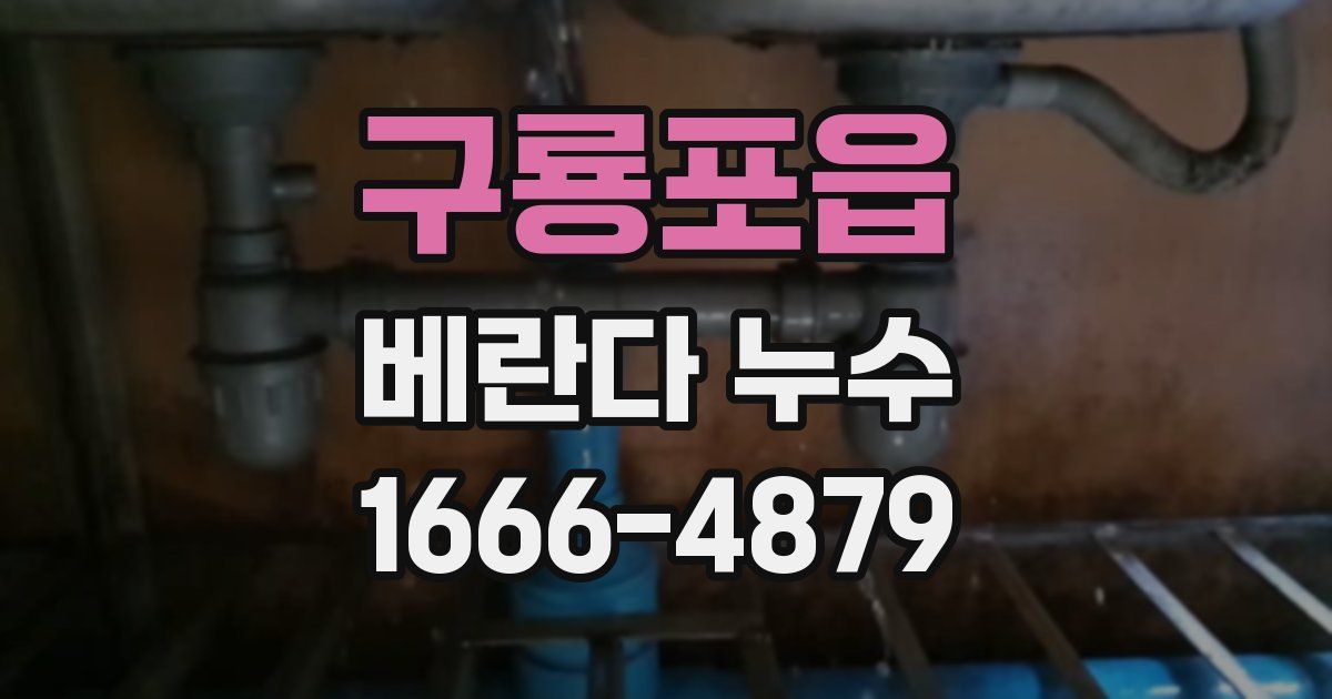 구룡포읍 베란다 누수