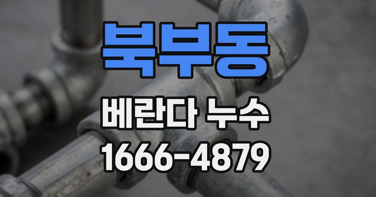 북부동 베란다 누수