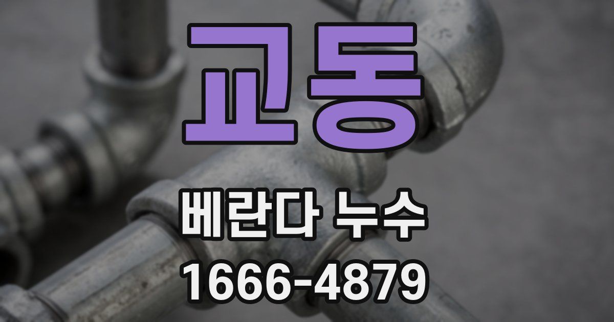 교동 베란다 누수