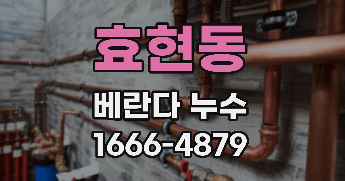 효현동 베란다 누수