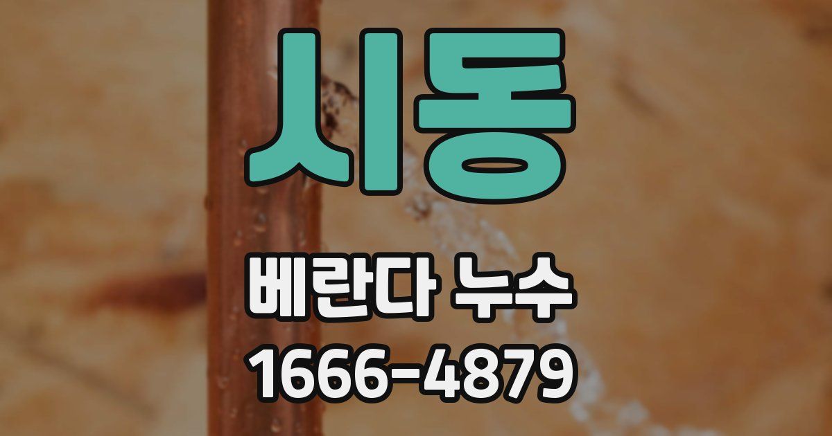 시동 베란다 누수