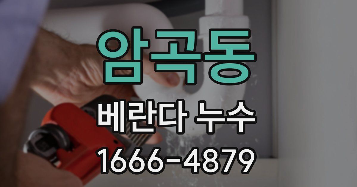 암곡동 베란다 누수