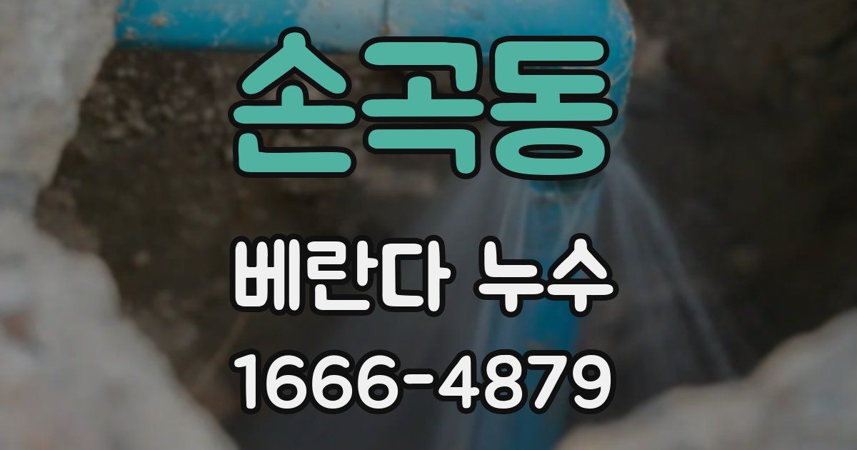 손곡동 베란다 누수