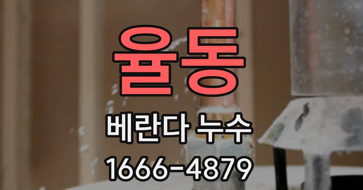 율동 베란다 누수