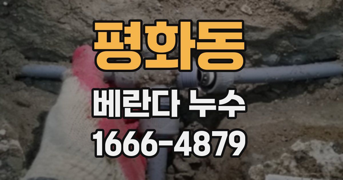 평화동 베란다 누수