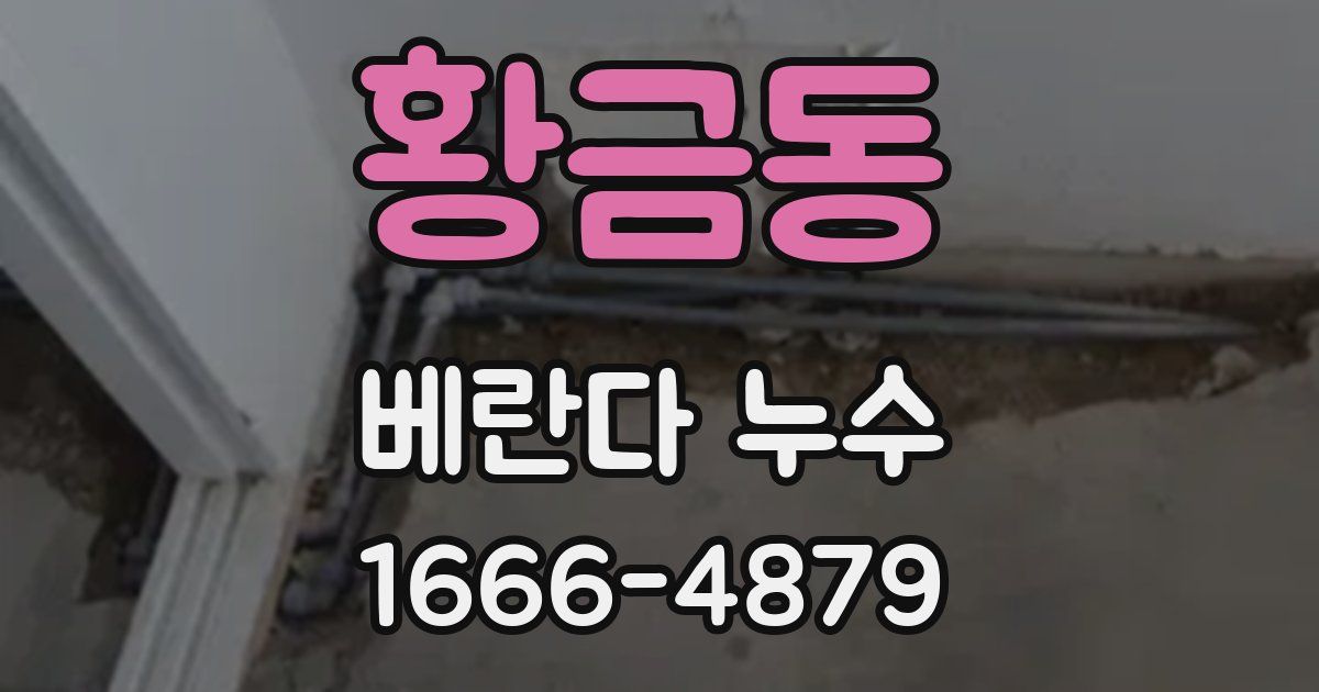 황금동 베란다 누수