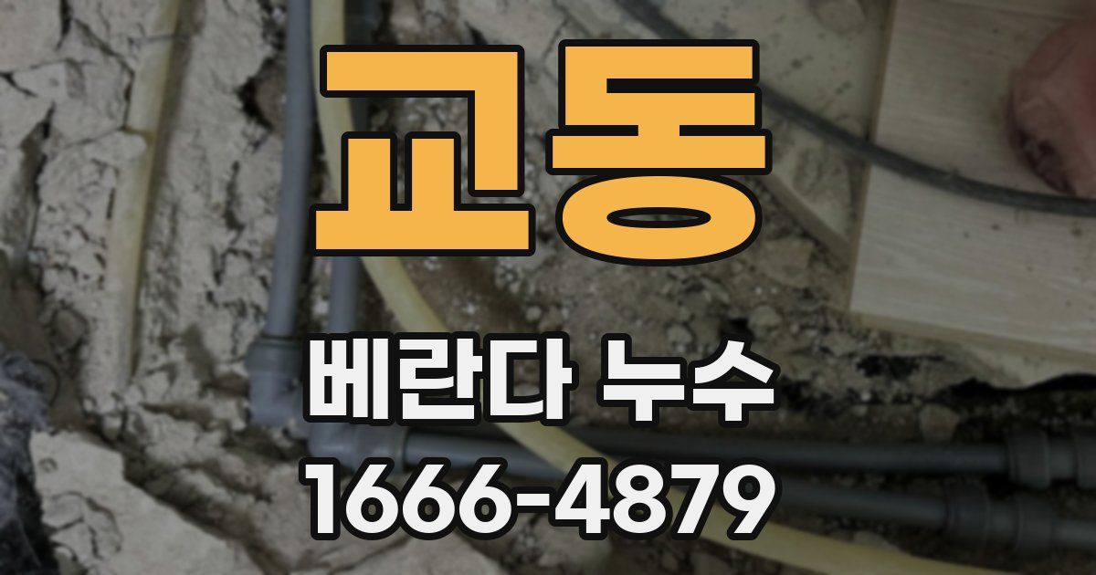 교동 베란다 누수