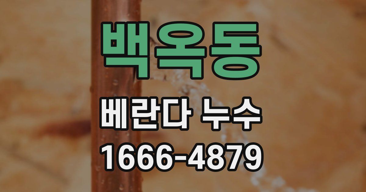 백옥동 베란다 누수