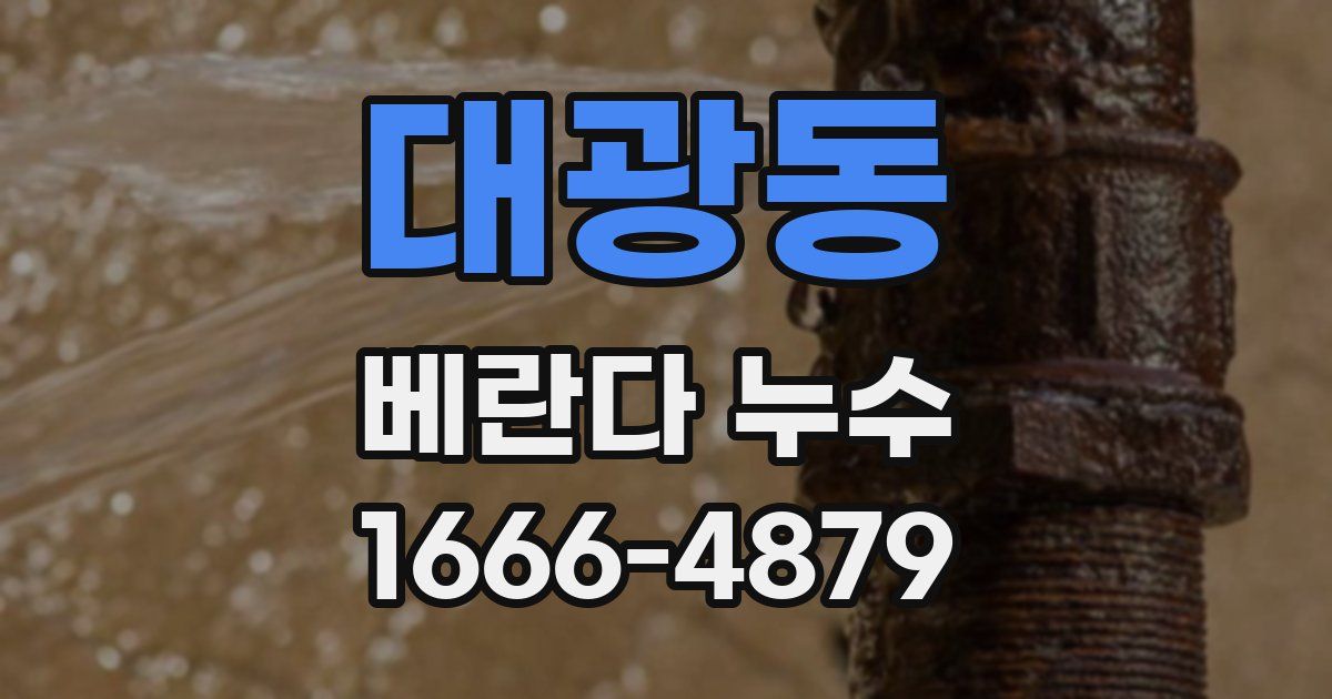 대광동 베란다 누수