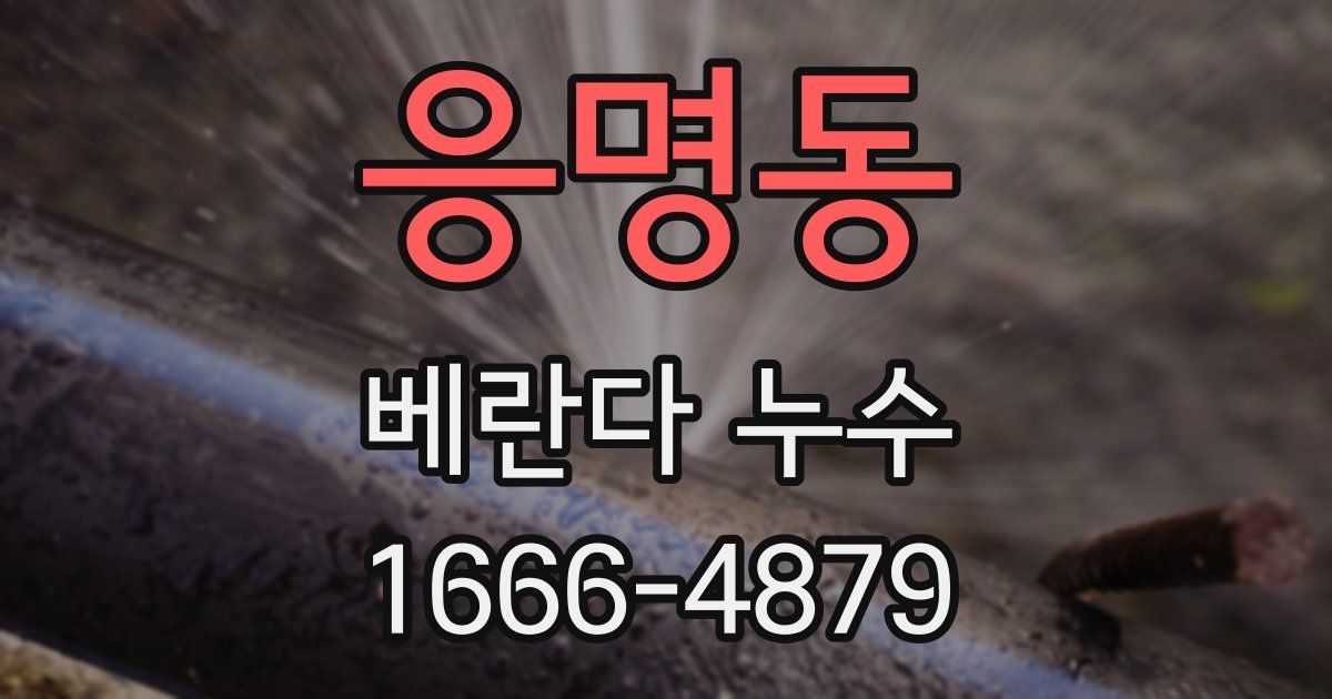 응명동 베란다 누수