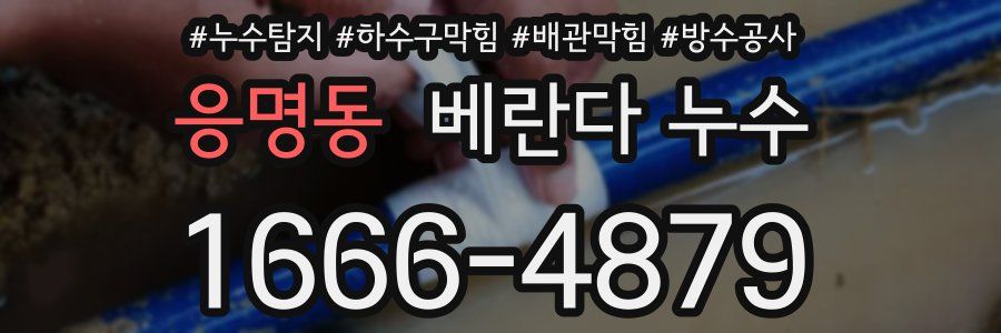 응명동 베란다 누수