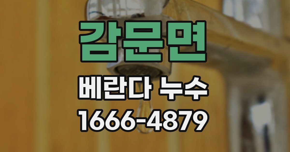 감문면 베란다 누수
