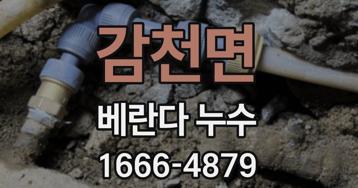 감천면 베란다 누수