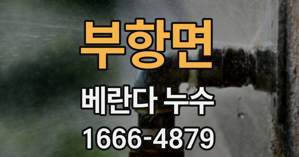 부항면 베란다 누수