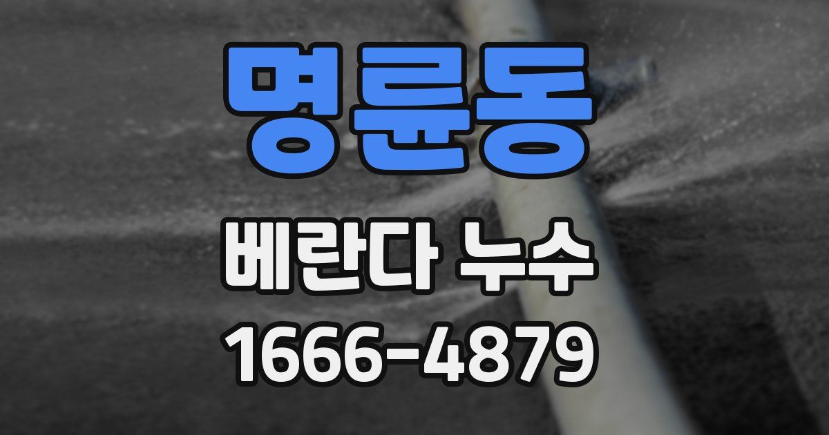 명륜동 베란다 누수