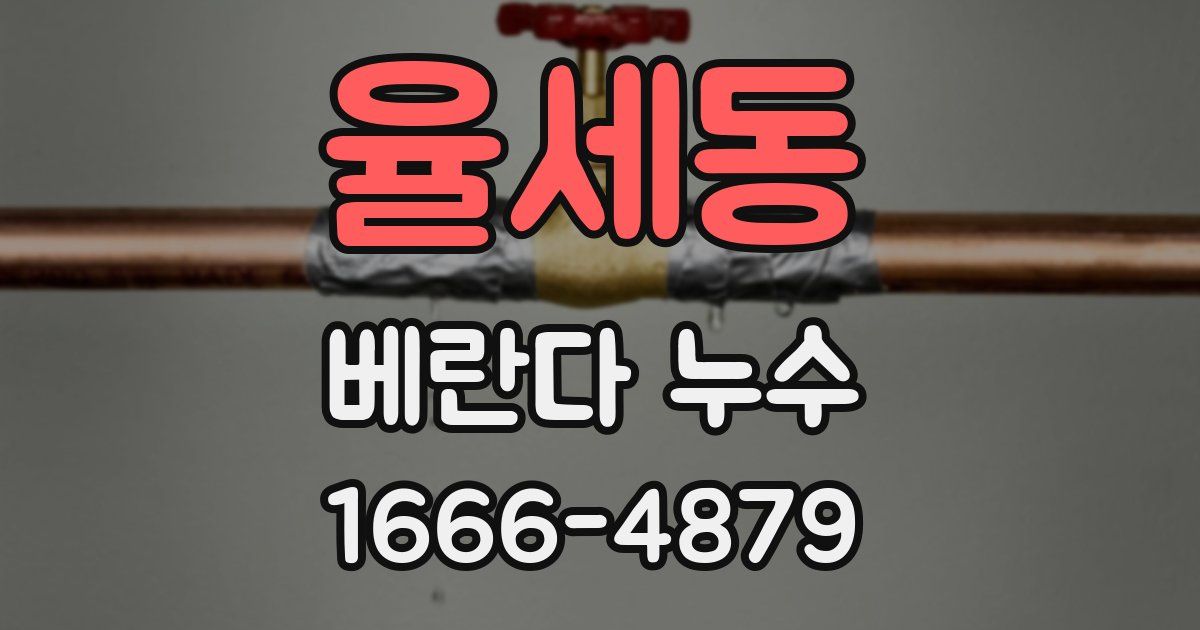 율세동 베란다 누수