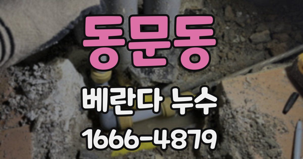 동문동 베란다 누수
