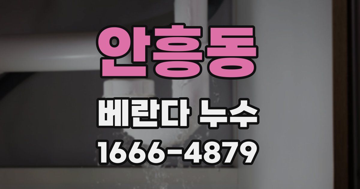 안흥동 베란다 누수