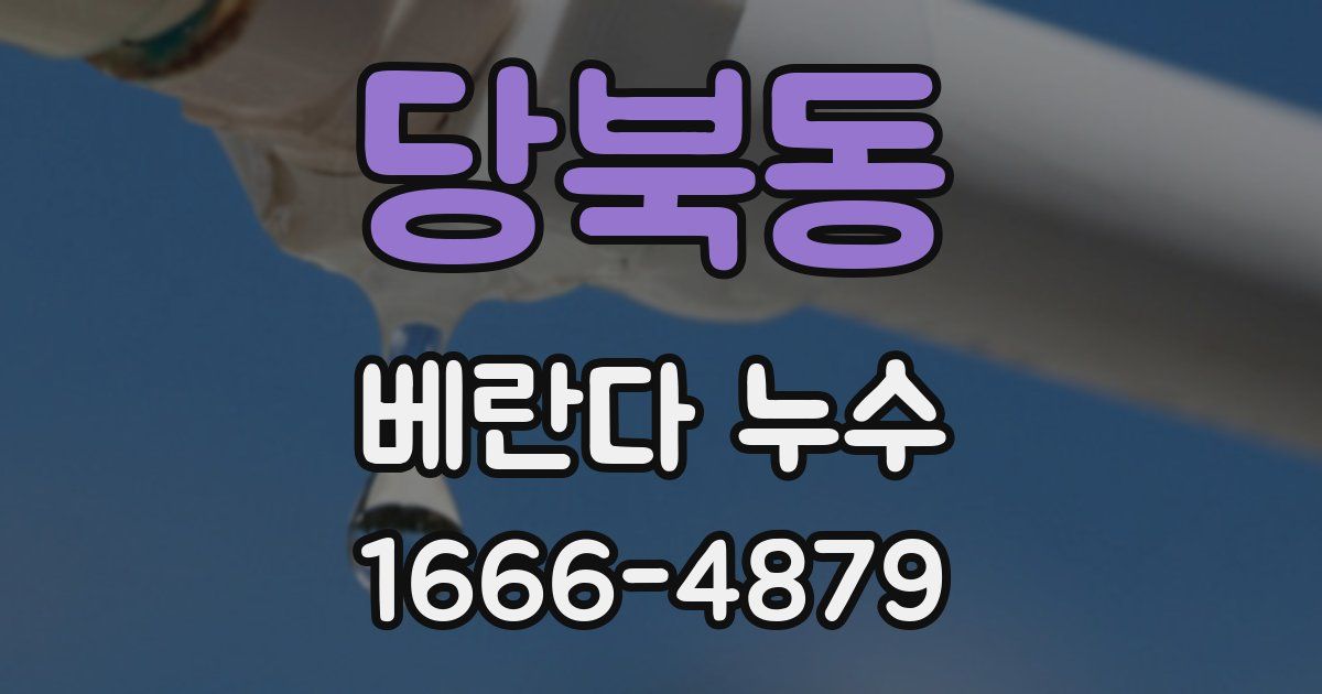 당북동 베란다 누수