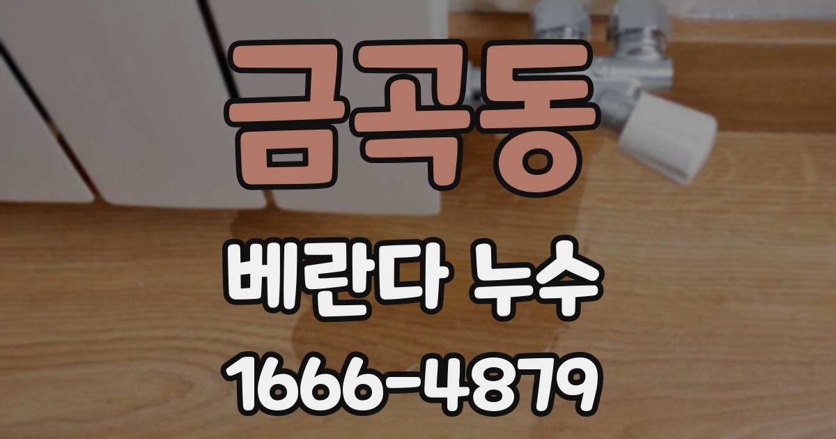금곡동 베란다 누수