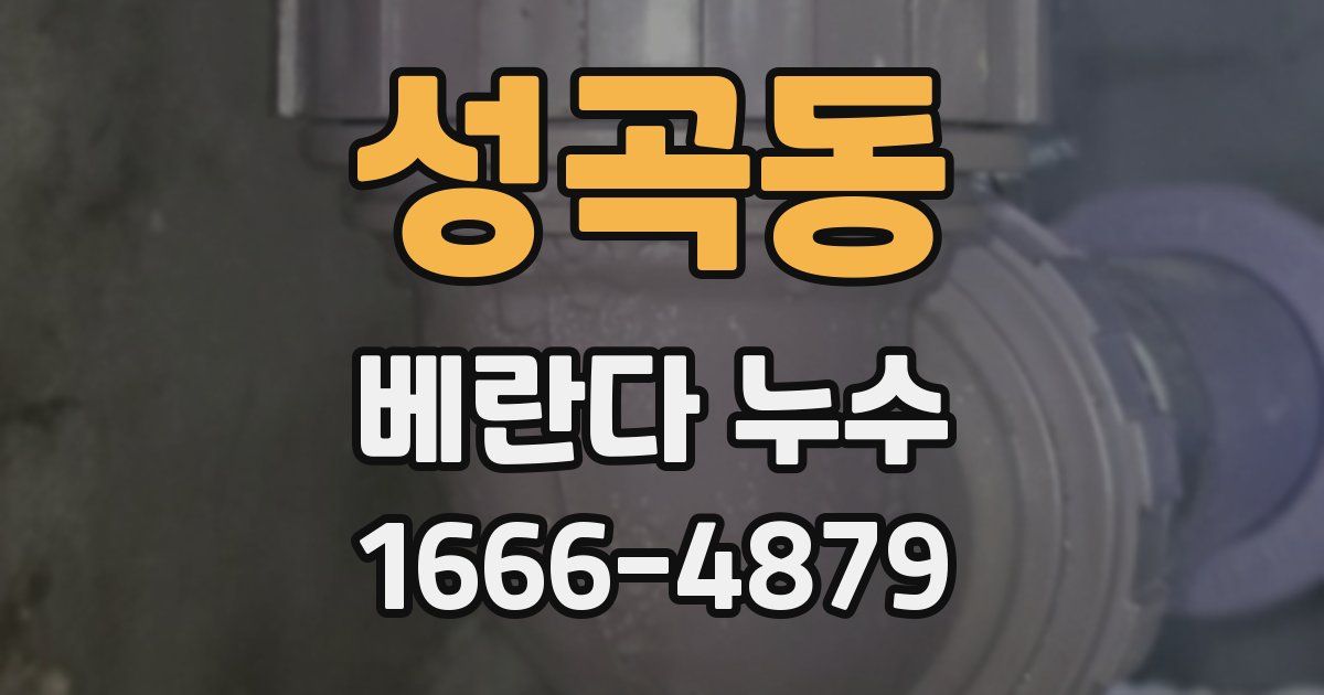 성곡동 베란다 누수