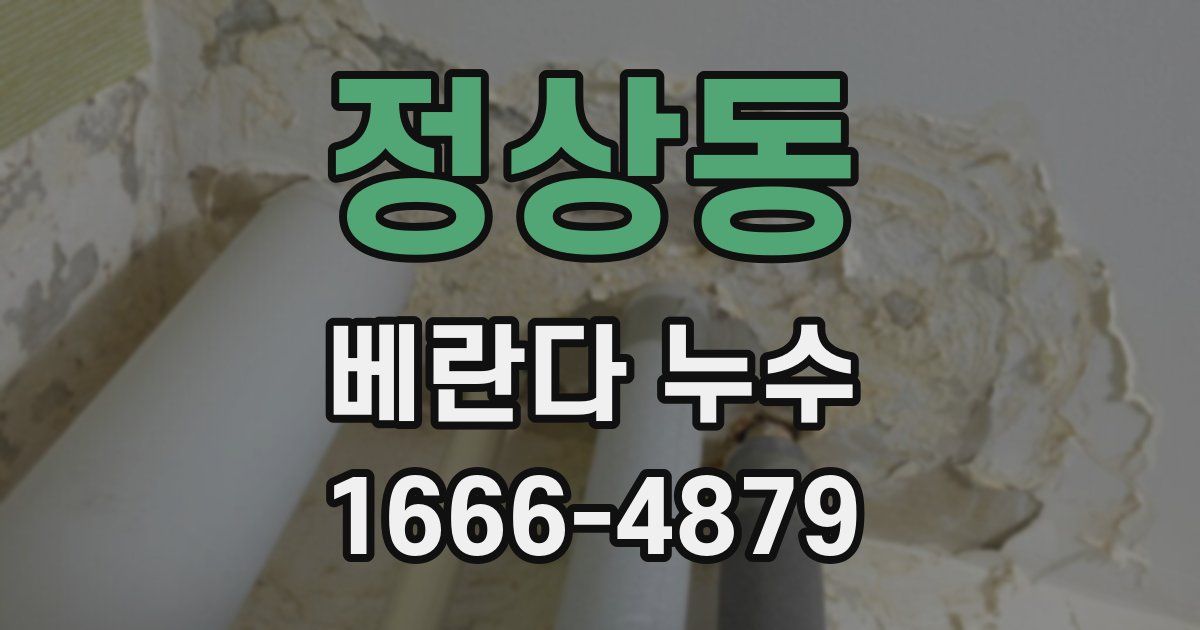 정상동 베란다 누수