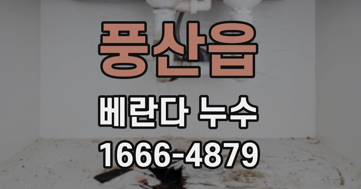 풍산읍 베란다 누수