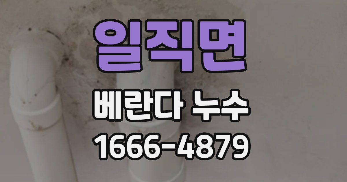 일직면 베란다 누수
