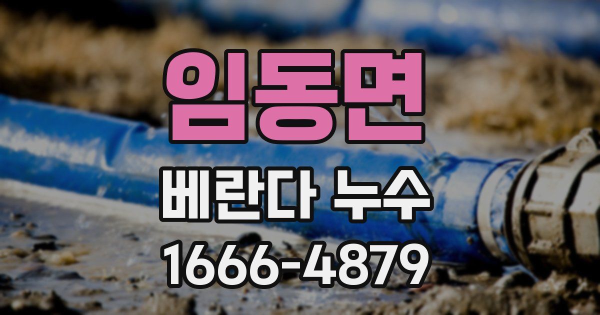 임동면 베란다 누수