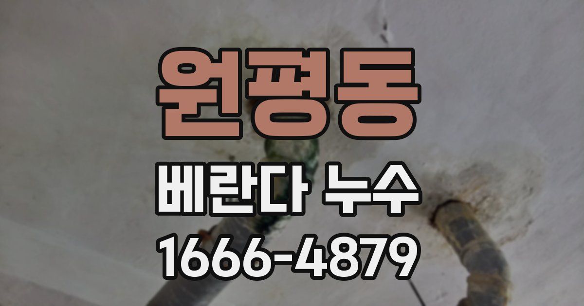 원평동 베란다 누수