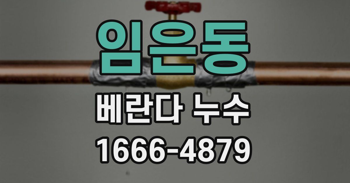 임은동 베란다 누수