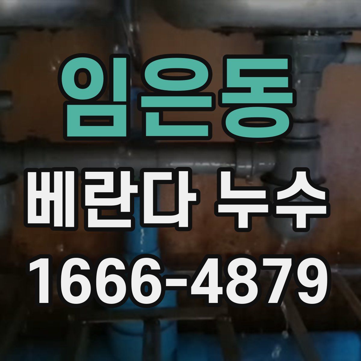 임은동 베란다 누수