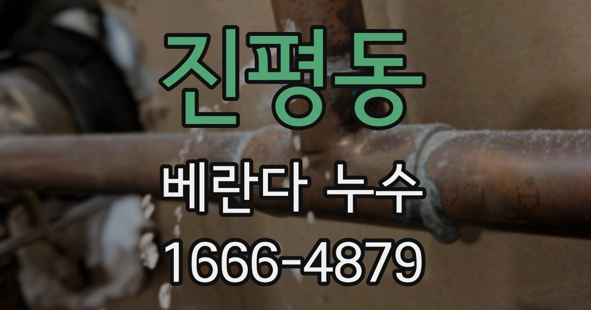 진평동 베란다 누수