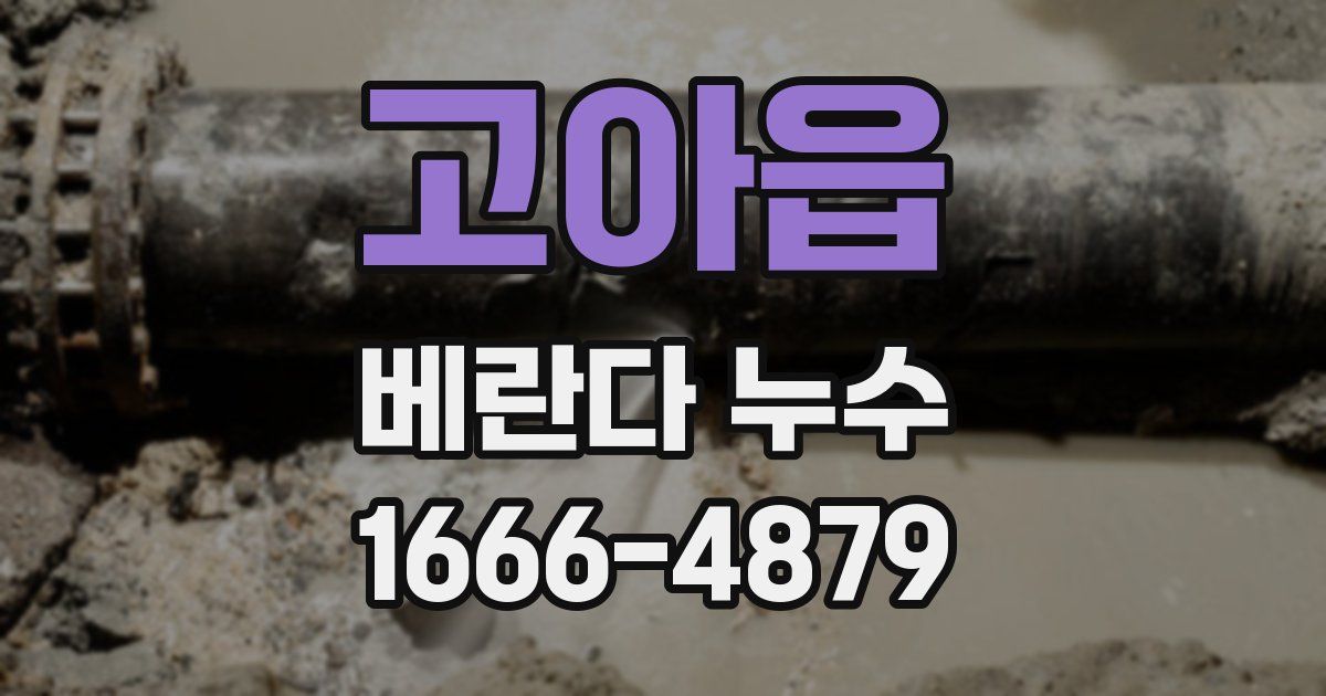 고아읍 베란다 누수