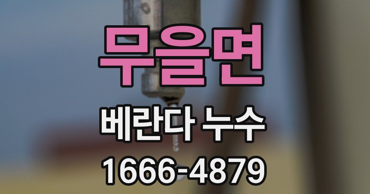 무을면 베란다 누수