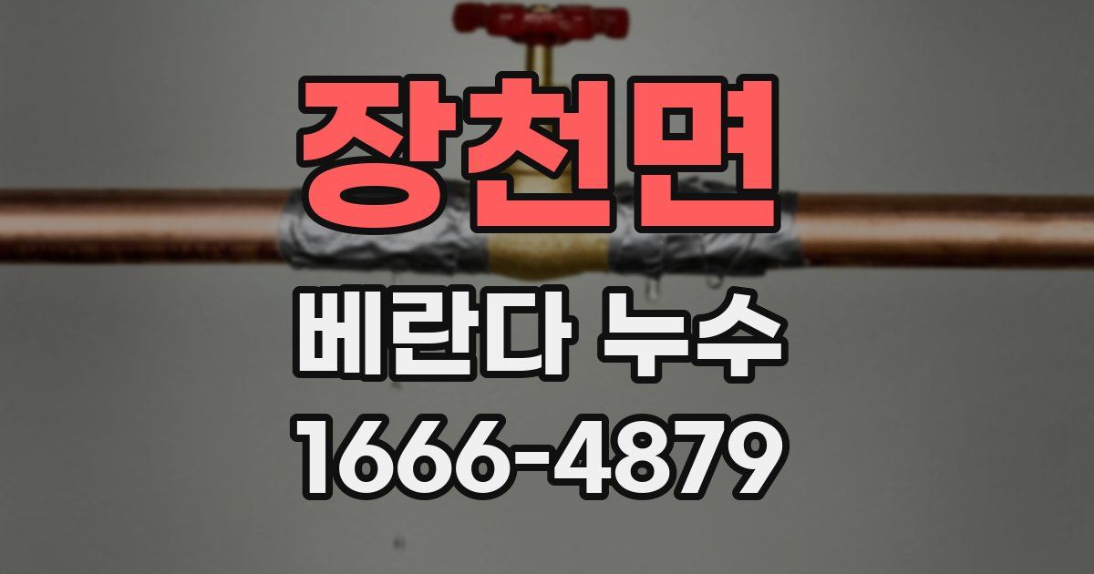 장천면 베란다 누수