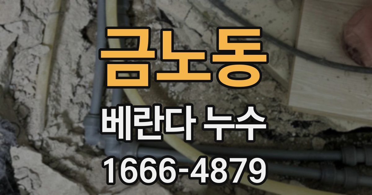 금노동 베란다 누수