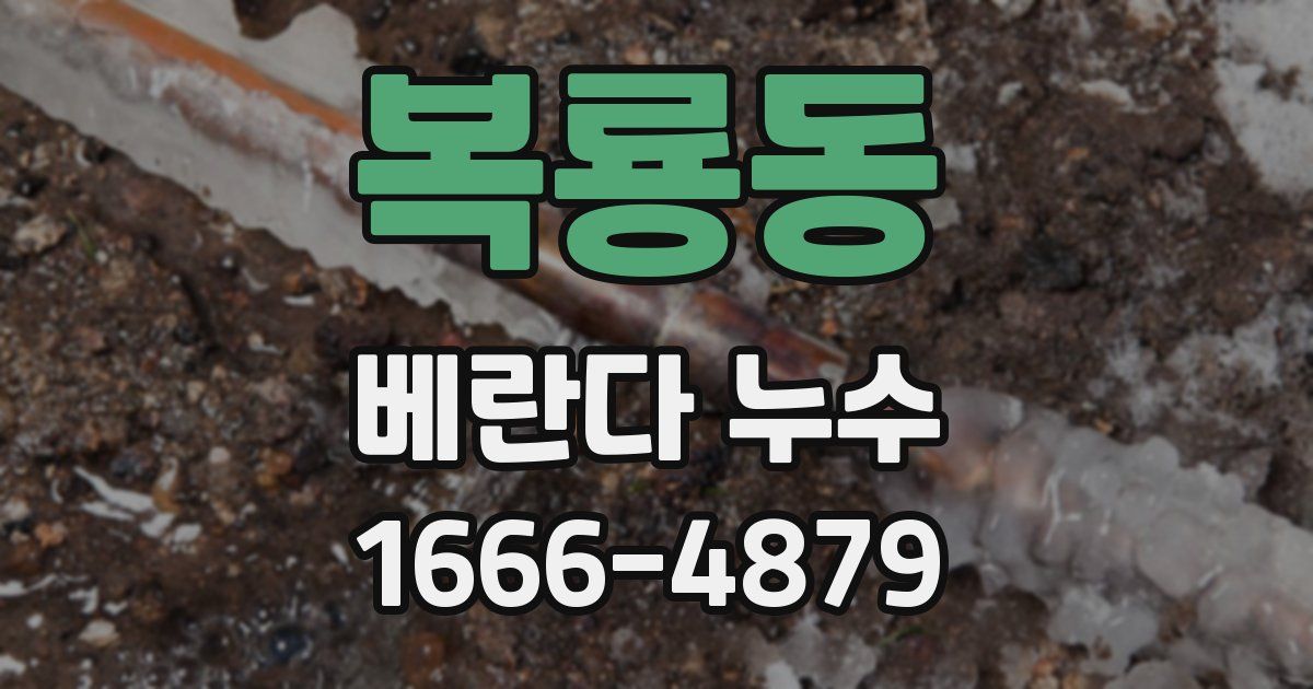 복룡동 베란다 누수