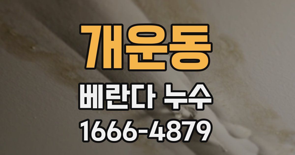 개운동 베란다 누수