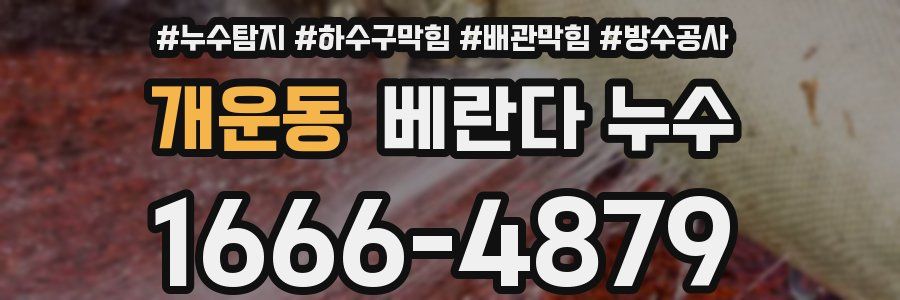 개운동 베란다 누수