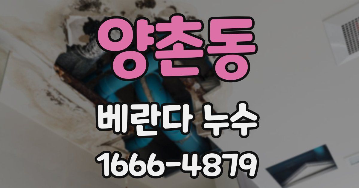 양촌동 베란다 누수