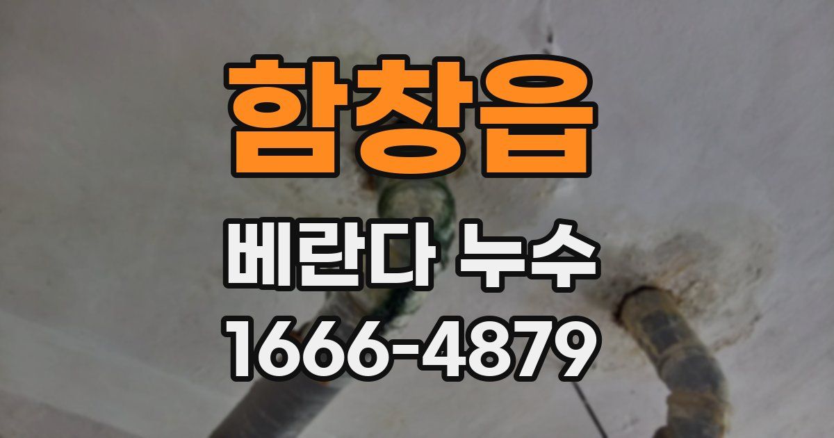 함창읍 베란다 누수