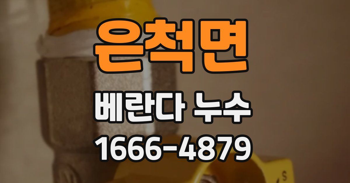은척면 베란다 누수