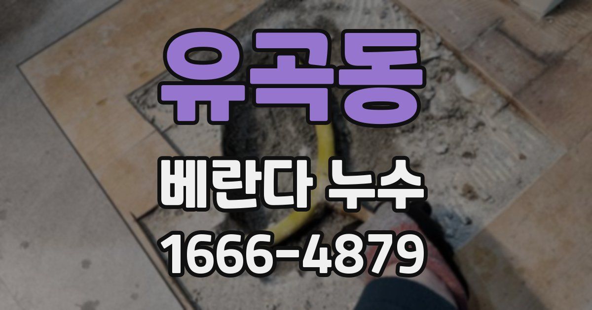 유곡동 베란다 누수