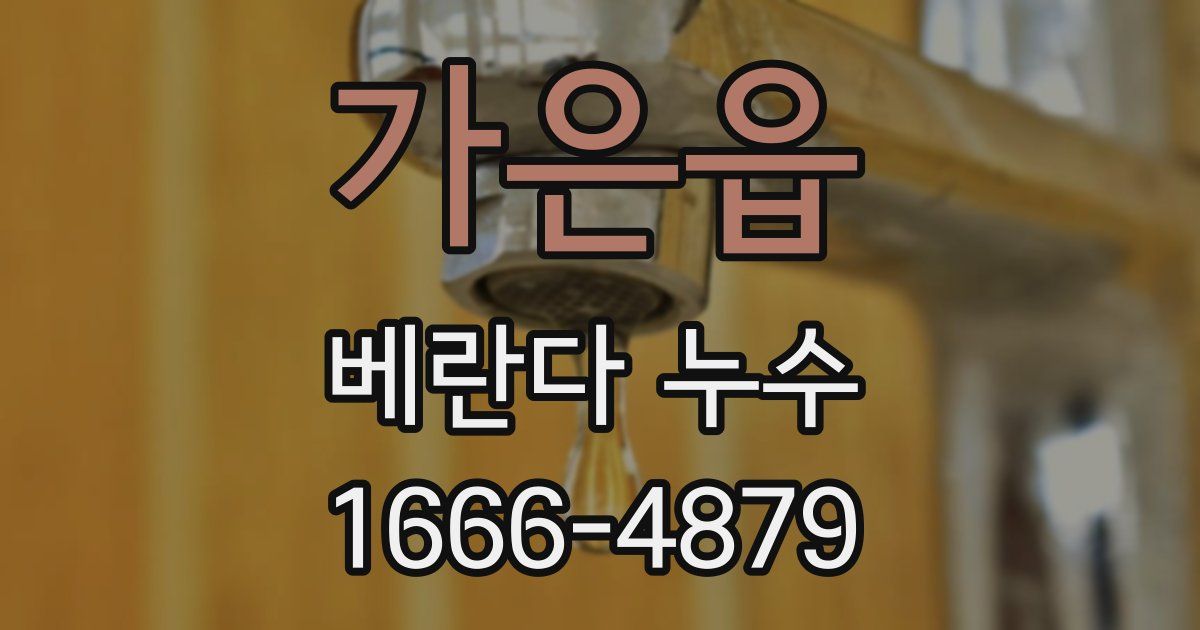 가은읍 베란다 누수
