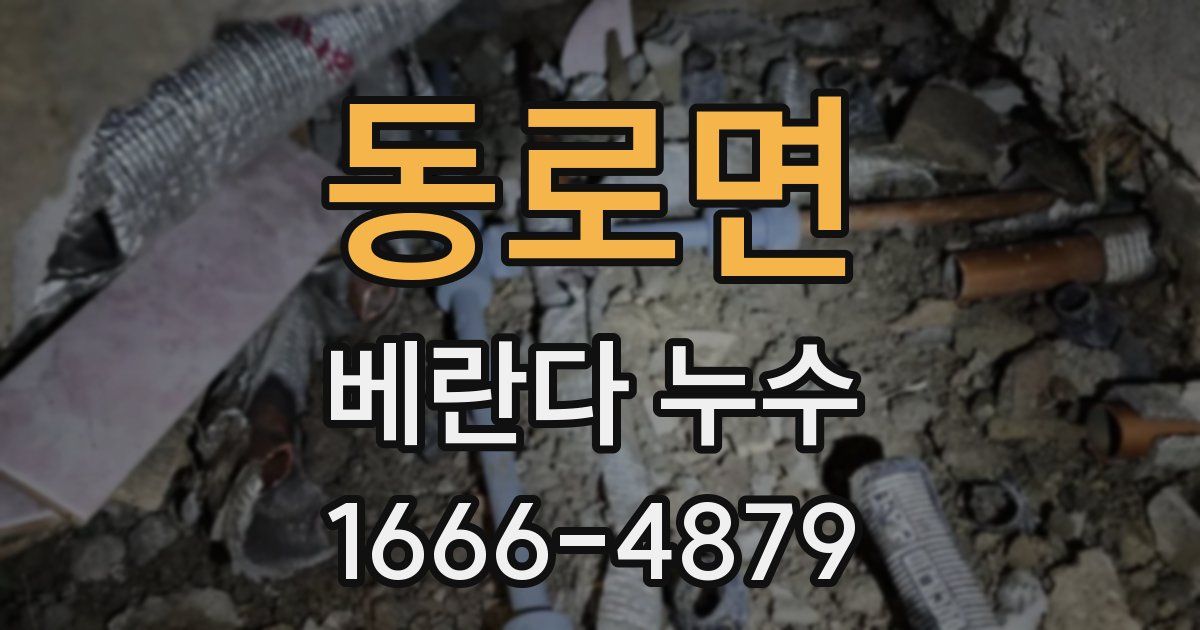 동로면 베란다 누수