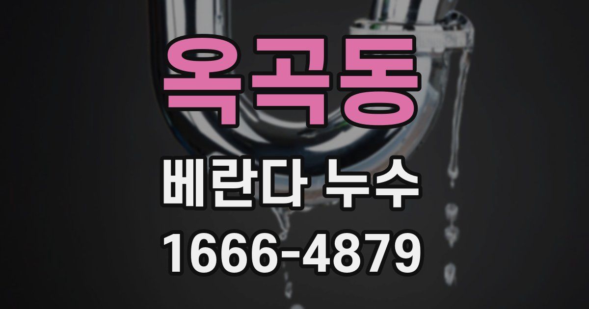 옥곡동 베란다 누수