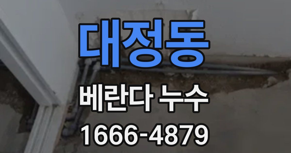 대정동 베란다 누수