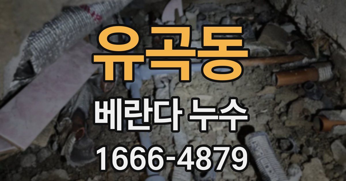 유곡동 베란다 누수